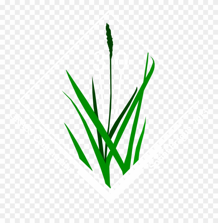 Logo-white - Grass Logo Clipart