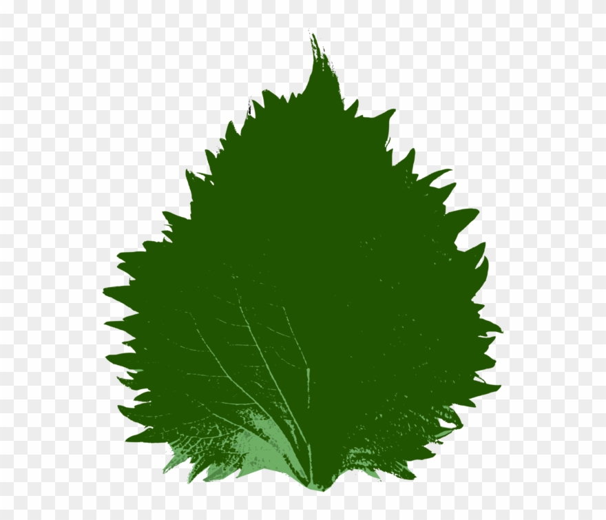 Wolverine Clipart 3d Png - Clip Art Transparent Png