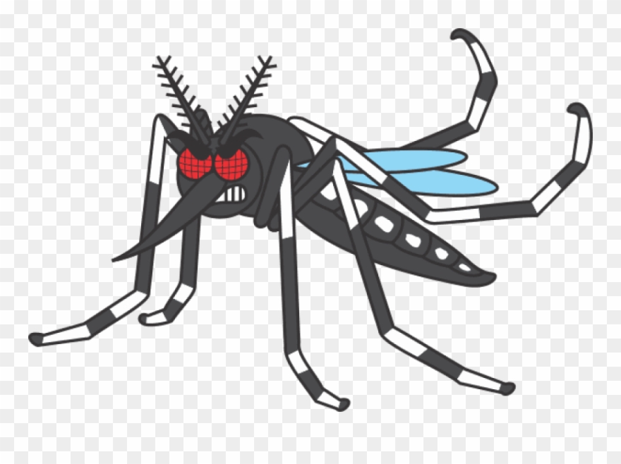 Free Png Download Mosquito Desenho Png Images Background - Mosquito Da Dengue Desenho Clipart