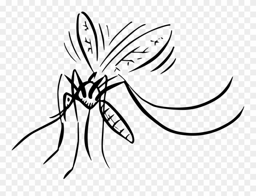 File - Mosquito - Svg - Mosquito Clipart