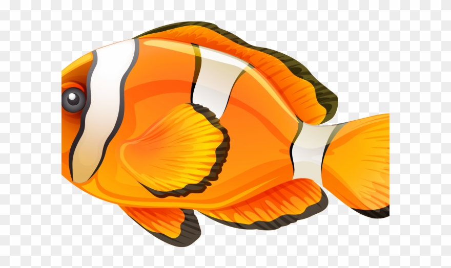 Clownfish Clipart Little Fish - Clipart Fish Transparent Background - Png Download