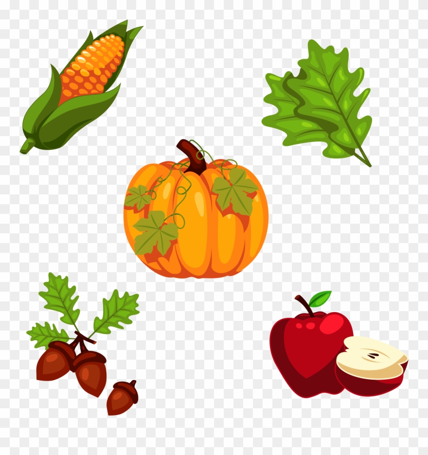 Thanksgiving Pumpkin Png - Decoracion De Thanksgiving Clipart