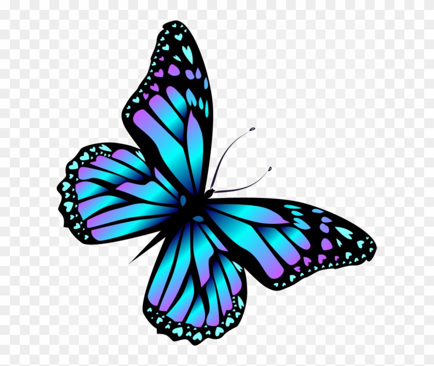 650 X 663 13 - Transparent Butterfly Cartoon Clipart