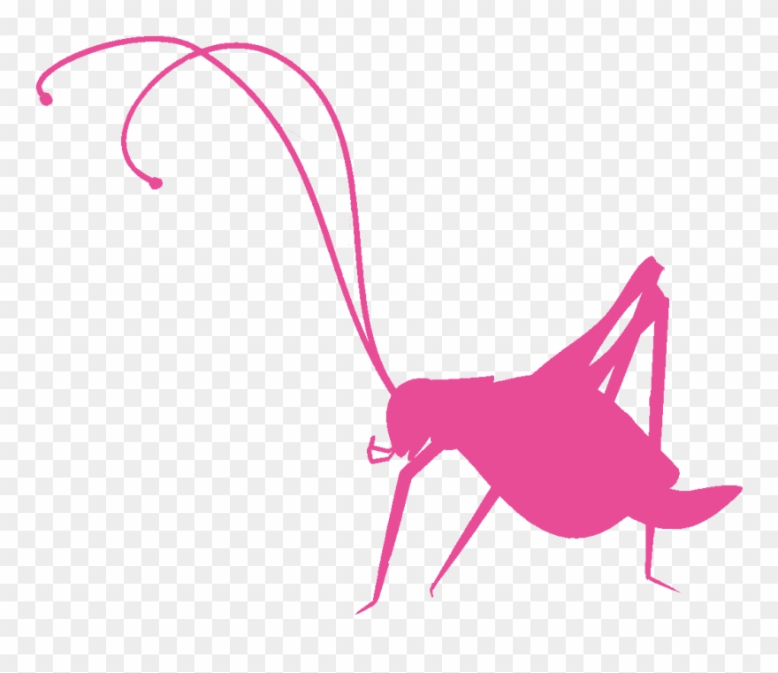 Pink Cricket Inc - Crickets Cartoon Clipart