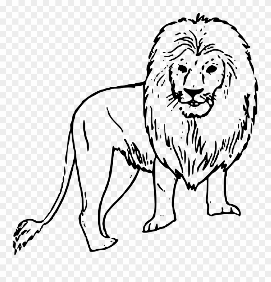 Png Black And White Stock Africa Clipart Sketch - Pencil Drawing Of Wild Animals Transparent Png