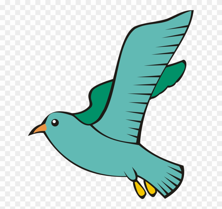 Bird Columbidae Flight Beak Homing Pigeon - Bird Clipart