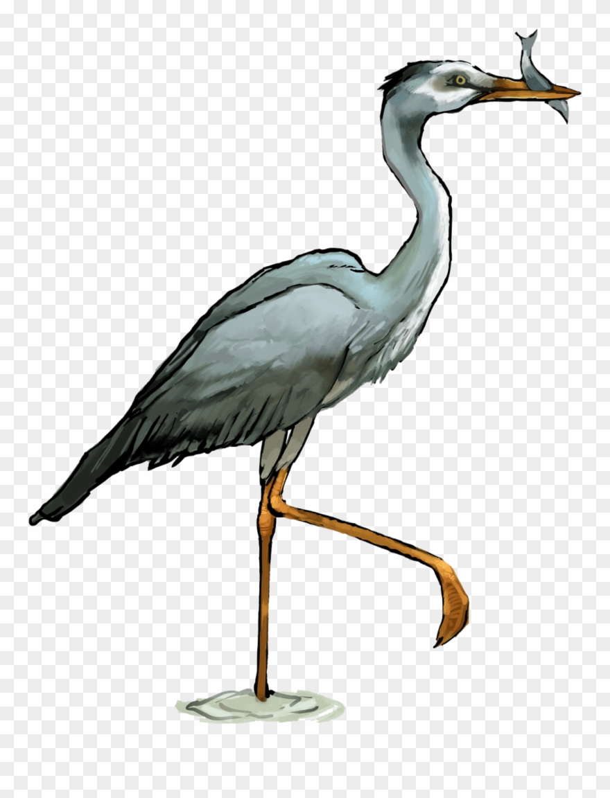 Free - Heron Clipart Transparent Background - Png Download