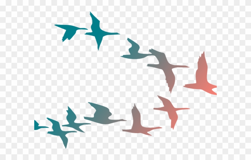 Flying Birds Clipart - Flock Of Birds Cartoon - Png Download