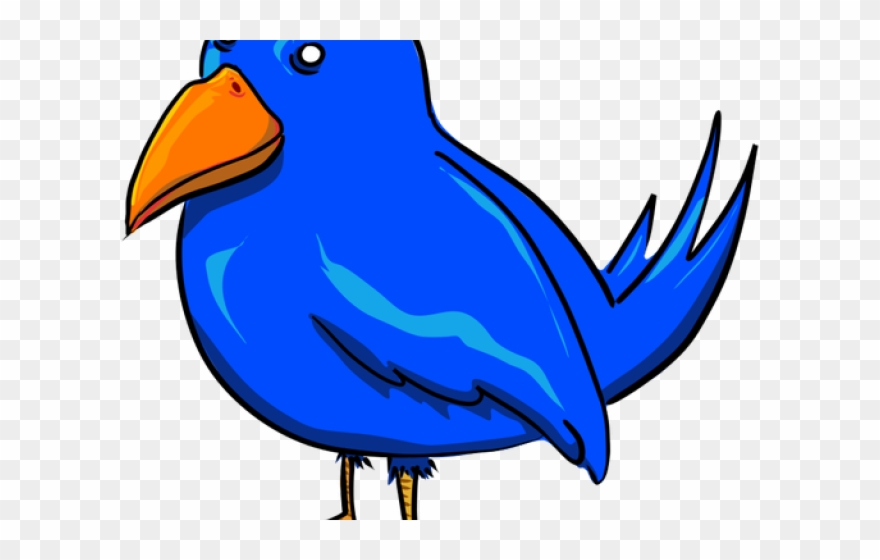 Blue Cartoon Bird Shower Curtain Clipart