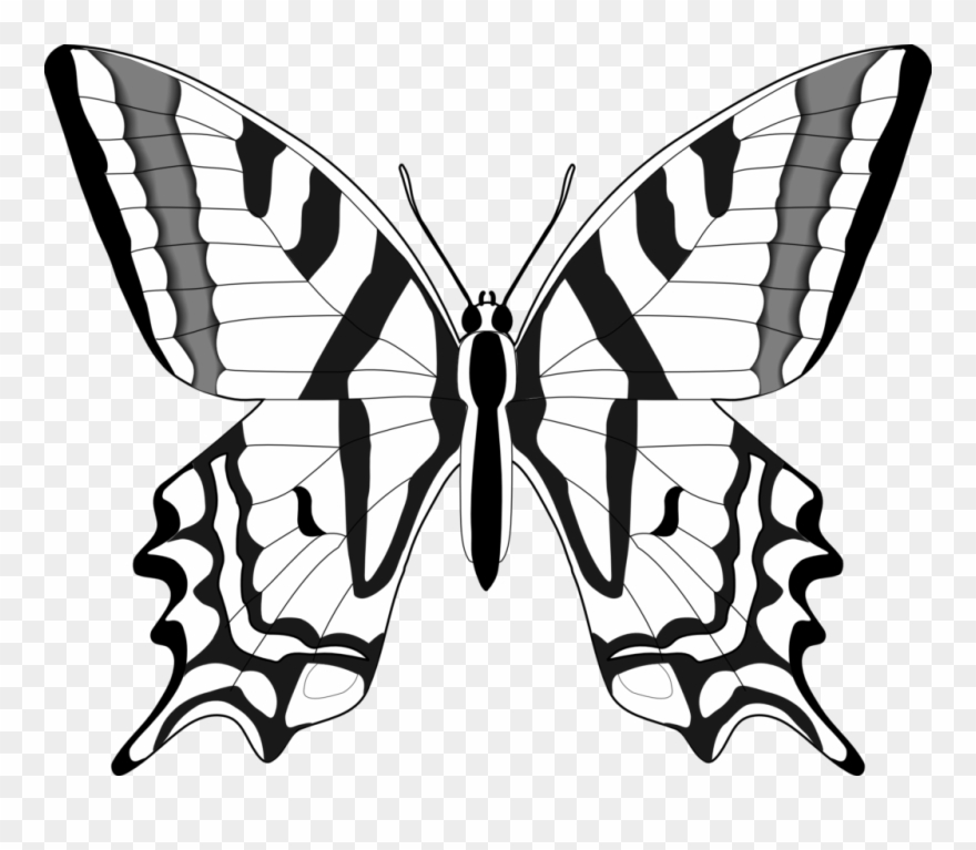 Butterfly Black And White Butterfly Clip Art Black - Clipart Butterfly Images Black And White - Png Download
