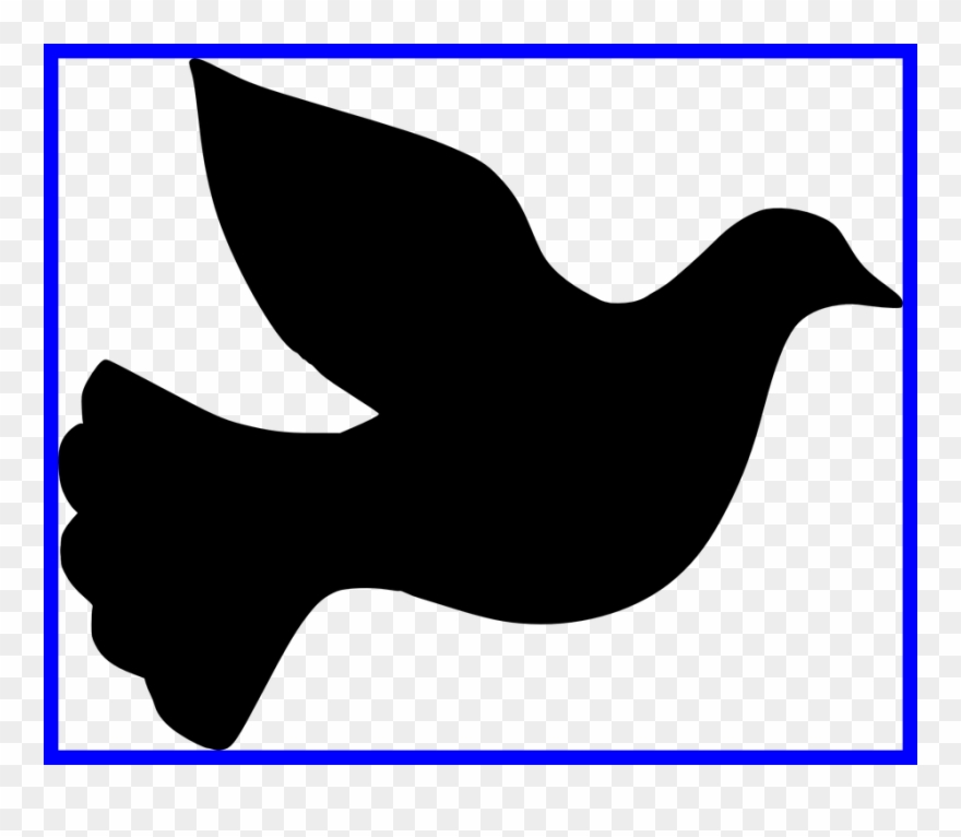Ideas Of Dove Bird Images About - Pigeons And Doves Clipart