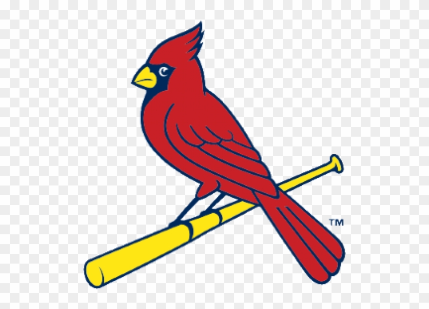 Visit Website - St Louis Cardinals Bird On Bat Clipart