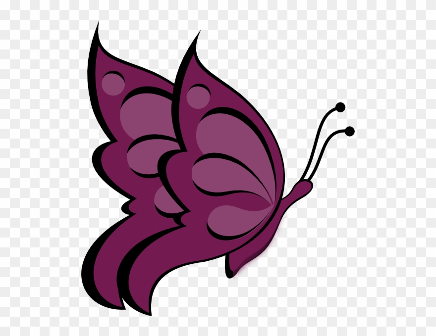 Sideways Butterfly Clip Art Clipart Butterfly Drawing - Butterfly Images For Drawing With Colour - Png Download
