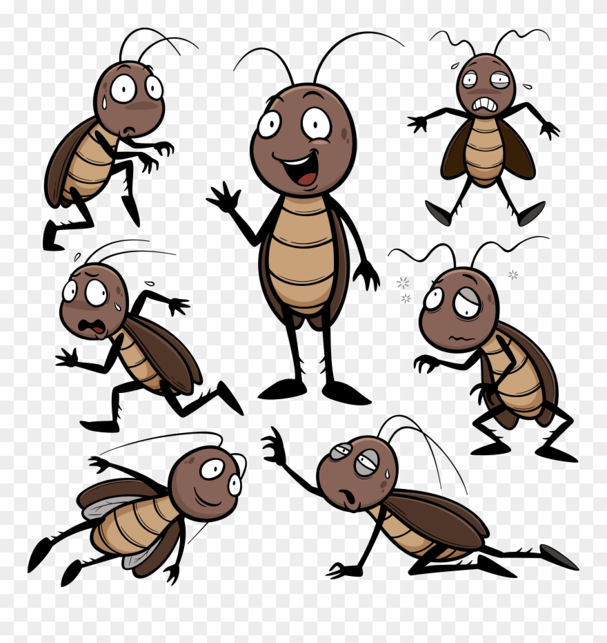 Butter Clipart Roach - Imagenes De Cucarachas Animadas - Png Download