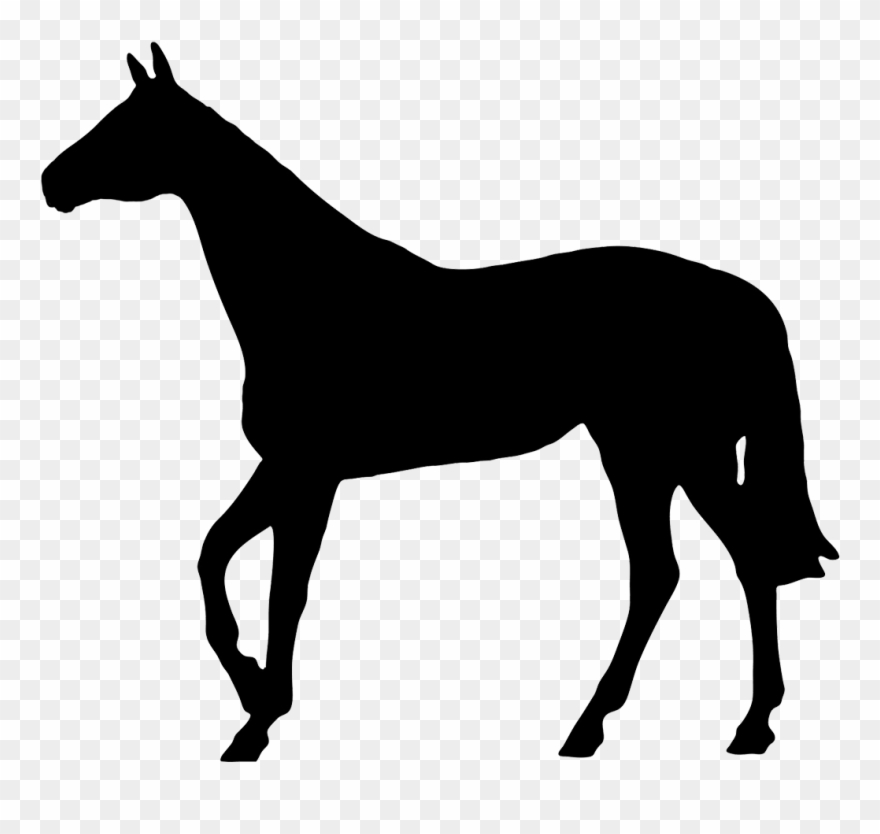 Horse Black Silhouette - Horse Silhouette No Background Clipart