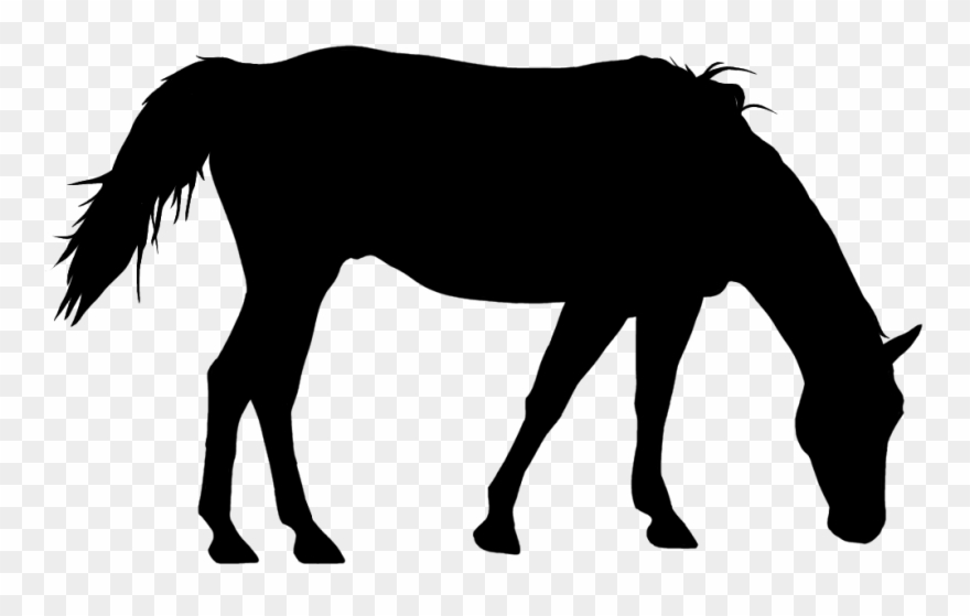 Paint Horse Grazing - Horse Clipart