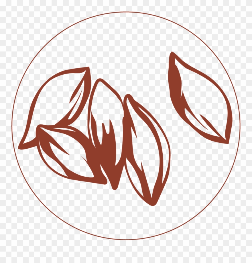 Dairy Free Yogurt Plant Based With Zero - Pili Clip Art - Png Download