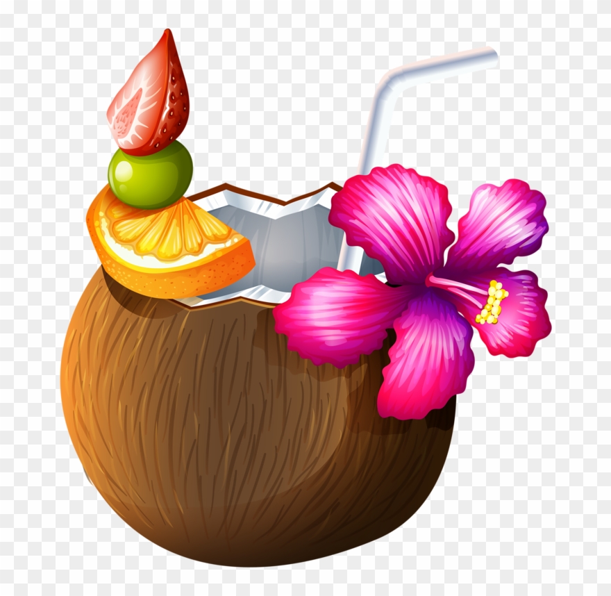 Drinks Clipart Fiesta - Coconut Drink Clip Art - Png Download