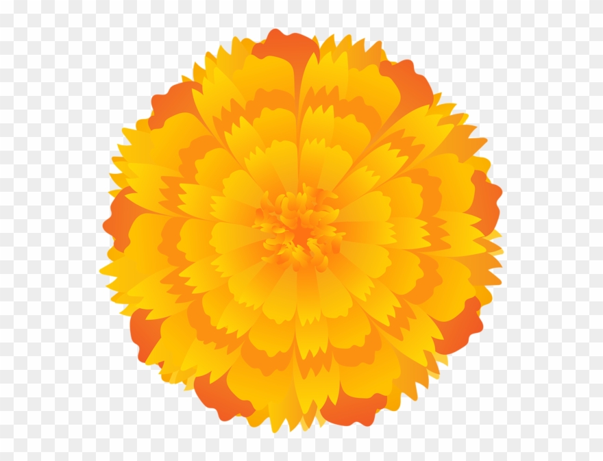 Orange Flower Clip Art Png Image - Disco De Serra Para Mdf 165mm Transparent Png