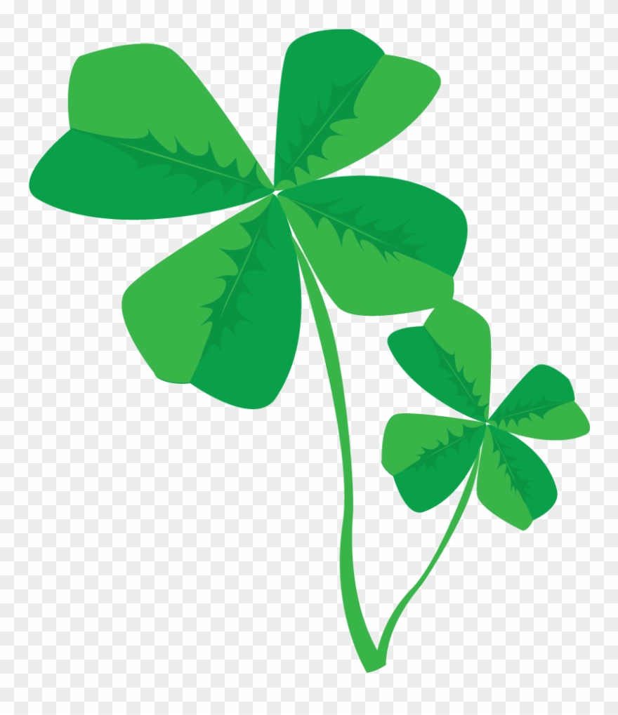 Vector Clip Art Online, Royalty Free Public Domain - Png Clovers Transparent Png