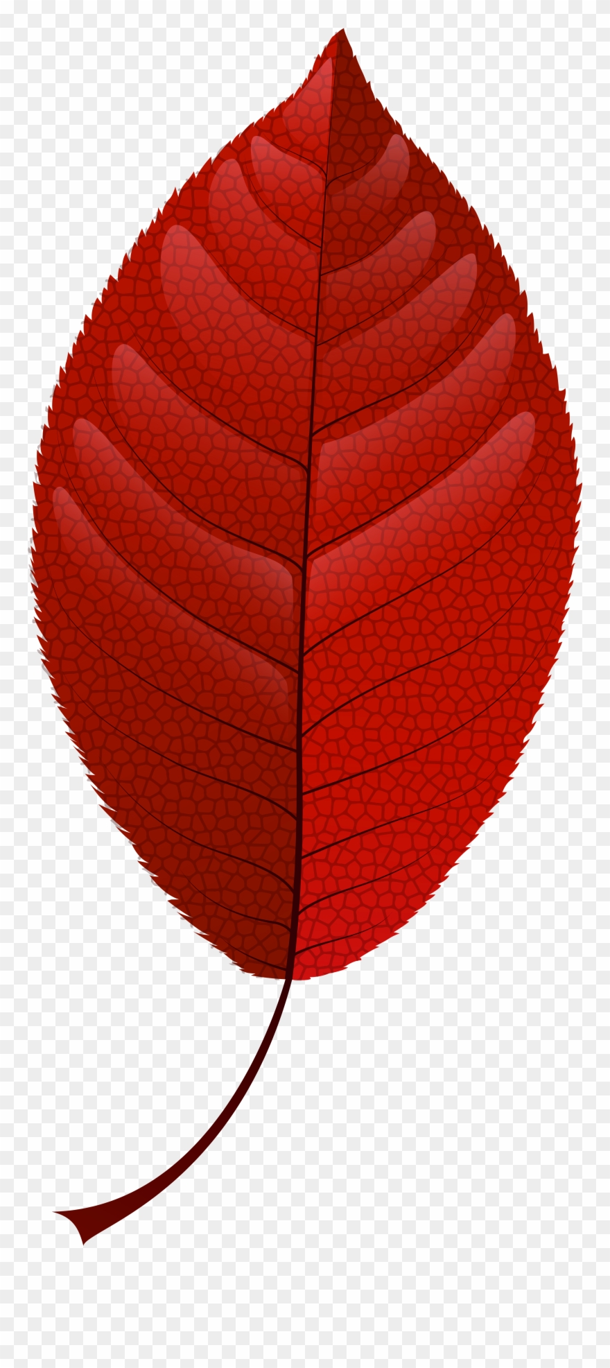 Fall Leaves Clip Art Png Transparent Png