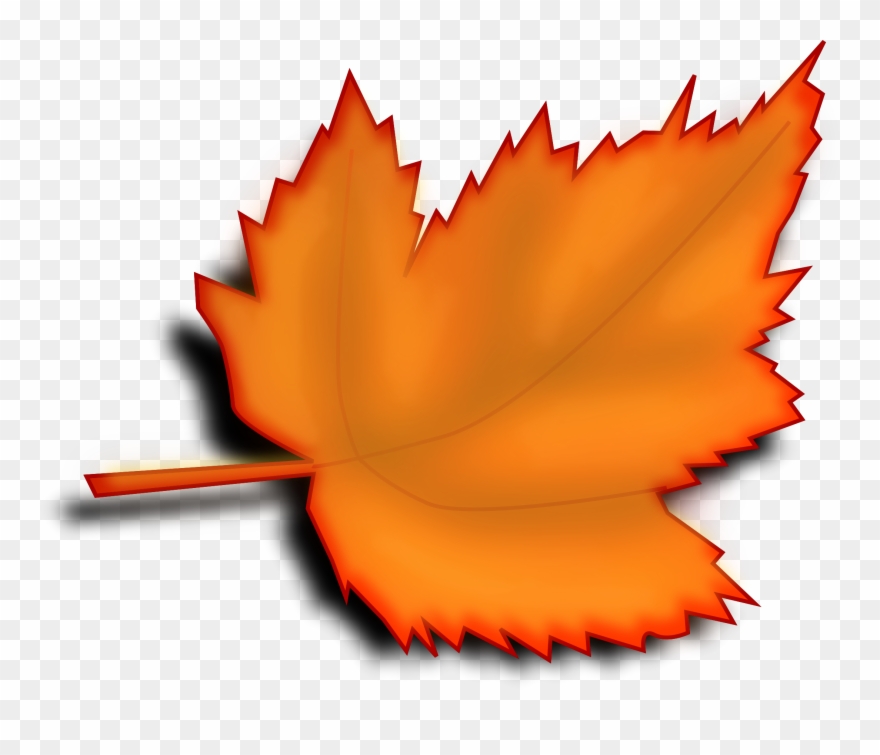 Autumn Leaves Clipart Large - Leaf Clipart Transparent Background - Png Download