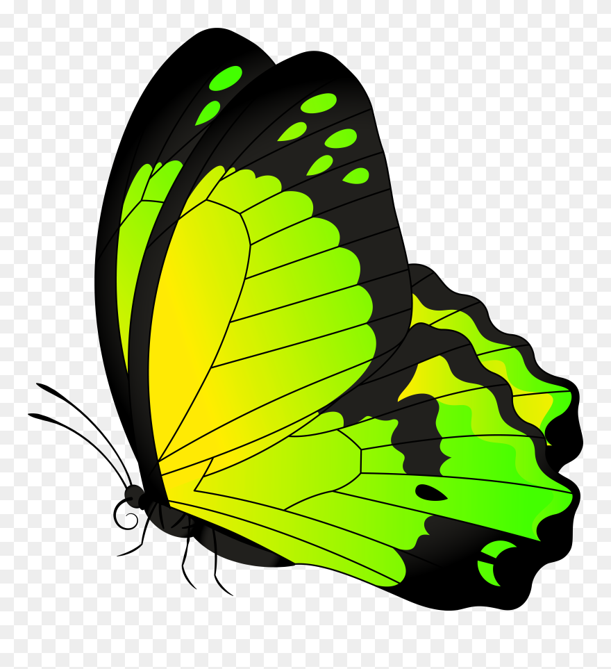 Butterfly Yellow Green Transparent Clip Art Image - Butterflies Clip Art Transparents - Png Download