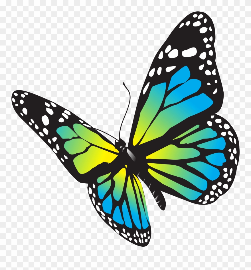 Butterflies Clipart - Png Download