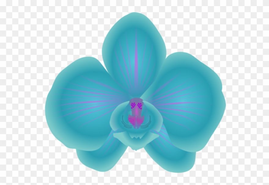 Blue Orchid Clipart - Blue Orchids Vector Png Transparent Png
