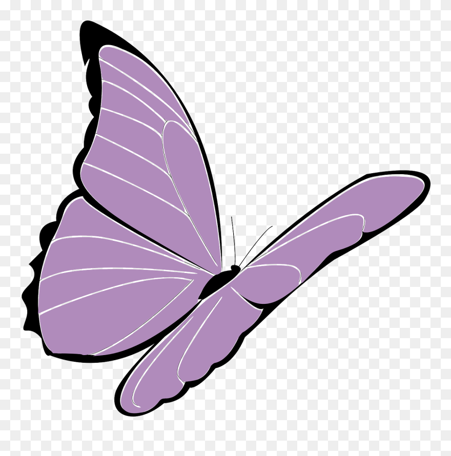 Lavender Clipart Butterfly - Butterfly Purple Cartoon - Png Download