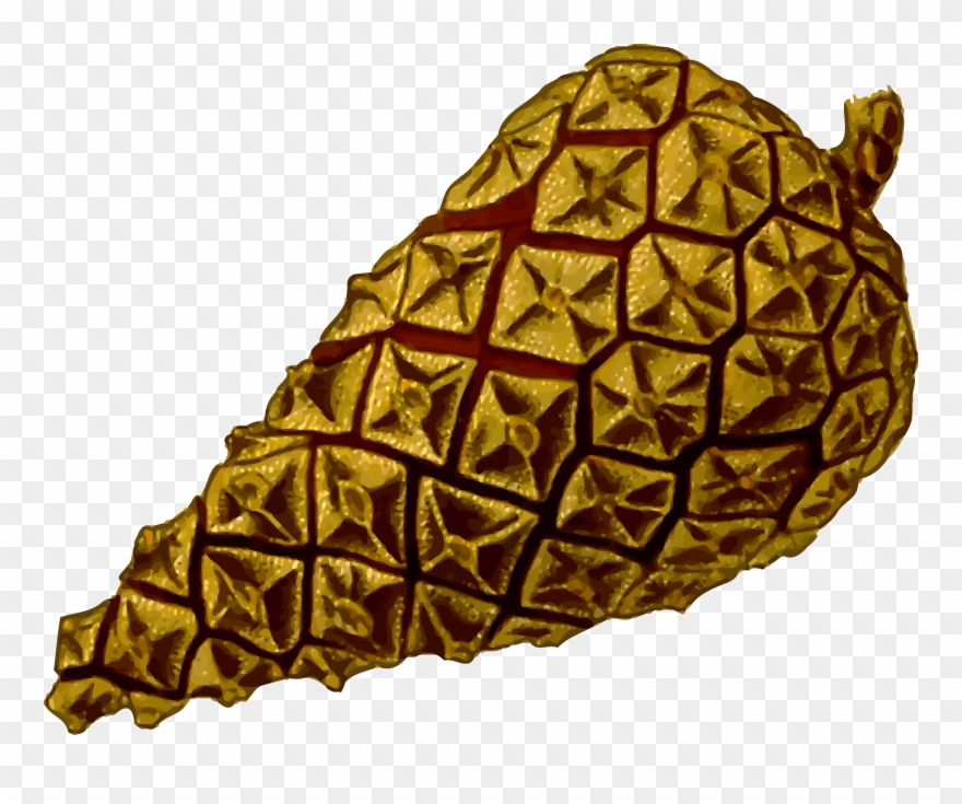 Big Image - Semillas De Pino Png Clipart