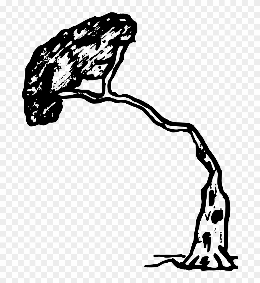 Pine Clipart Has - Png Download