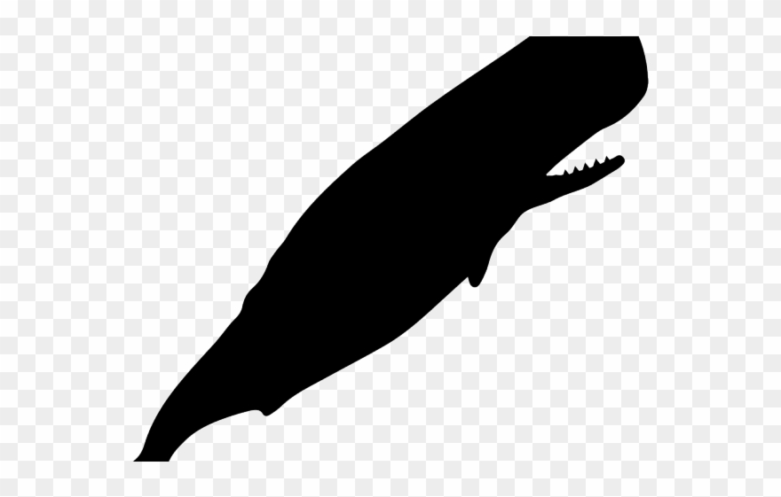 Sperm Whale Clipart Carton - Dremel Icon - Png Download