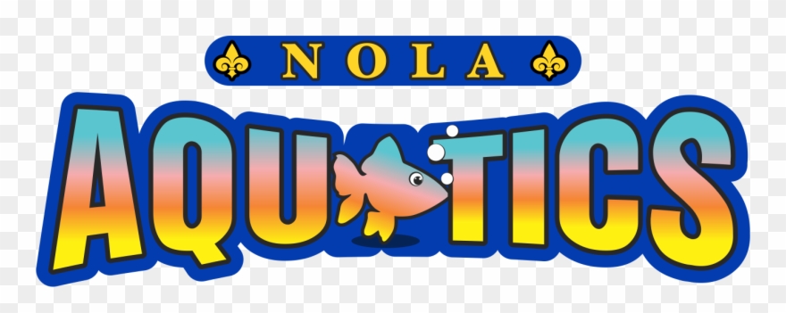 Aquatics & Swimming Stamford Ymca Clipart