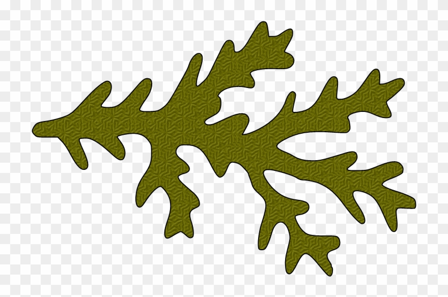 Paper This And That - Pine Branch Svg Clipart