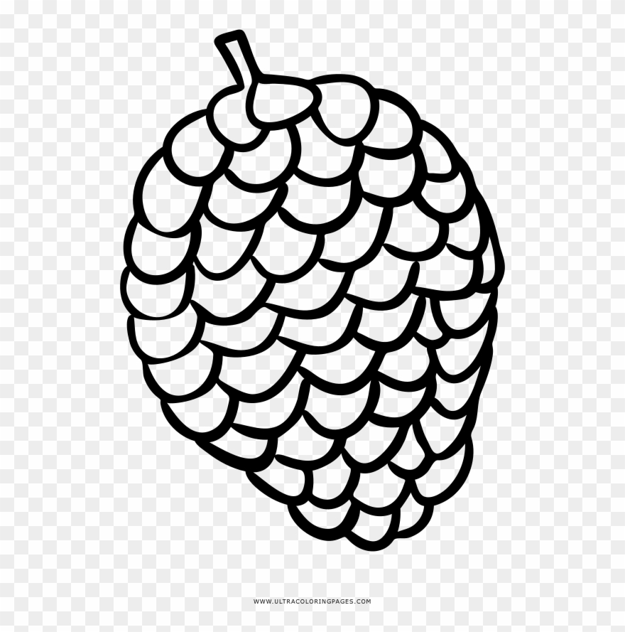 Printable Pine Cone Coloring Page - Desenho De Pinha Para Colorir Clipart