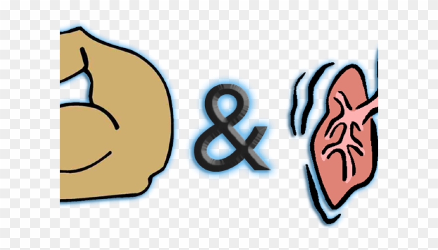 Fitness Clipart Strength And Conditioning - Lungs - Png Download