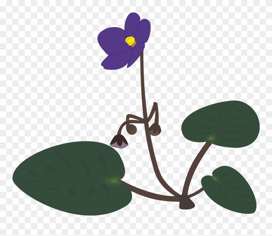 All Photo Png Clipart - Clip Art Transparent Png