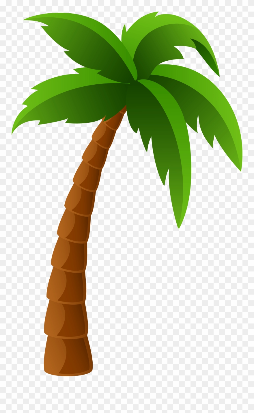 Permalink To Palm Clipart Pencil Clipart - Palm Tree Clipart Png Transparent Png