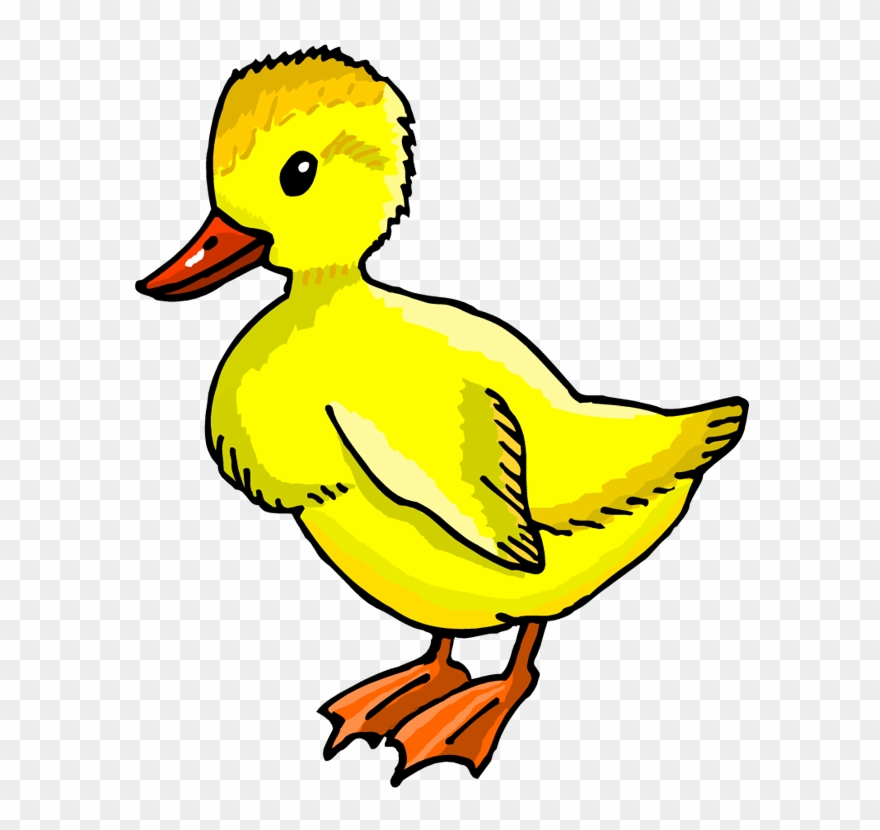 Duckling - Duckling Clipart - Png Download