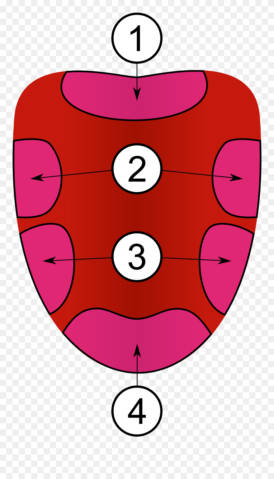 Taste Cliparts - 4 Areas Of The Tongue - Png Download