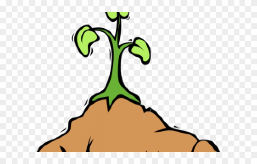 Dirt Clipart Kind Student - Cartoon Plant Growing Png Transparent Png