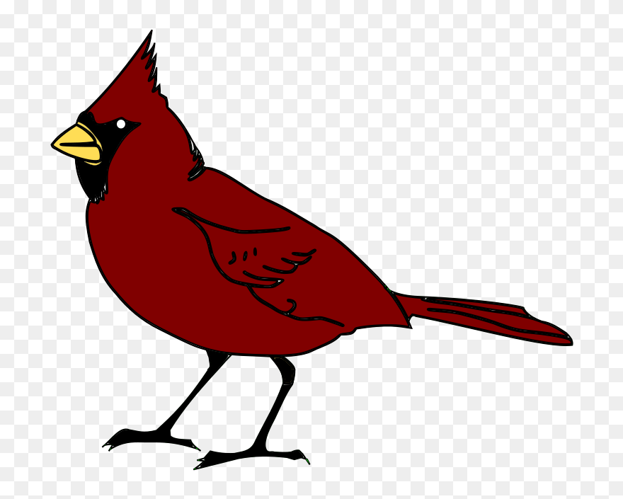 Picture Freeuse Freedownloads Purple Bow - Clip Art Cardinal - Png Download