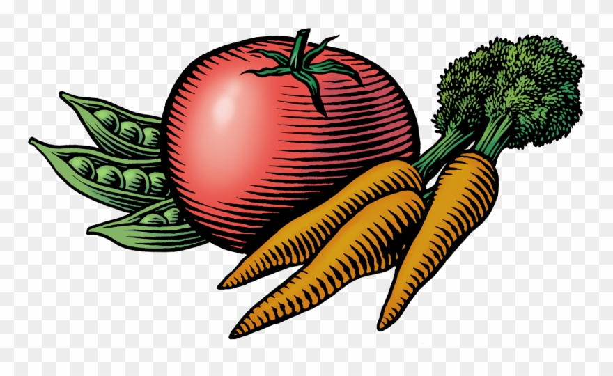 Black And White Library What Is Snap - Farmers Market Vegetables Clipart - Png Download