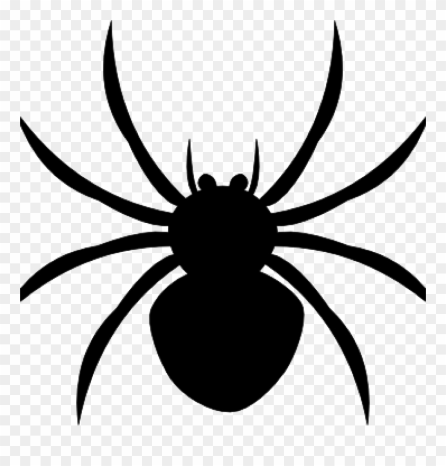 Spider Clipart Black And White Arachnophobia Overcoming - Spider Halloween Clip Art - Png Download
