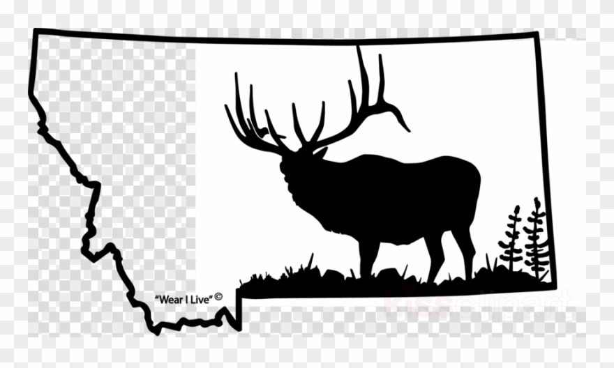 Montana Elk Clipart Beartooth Mountains Clip Art - Hunters Image Let N Loose Elk Hunting Automotive Window - Png Download