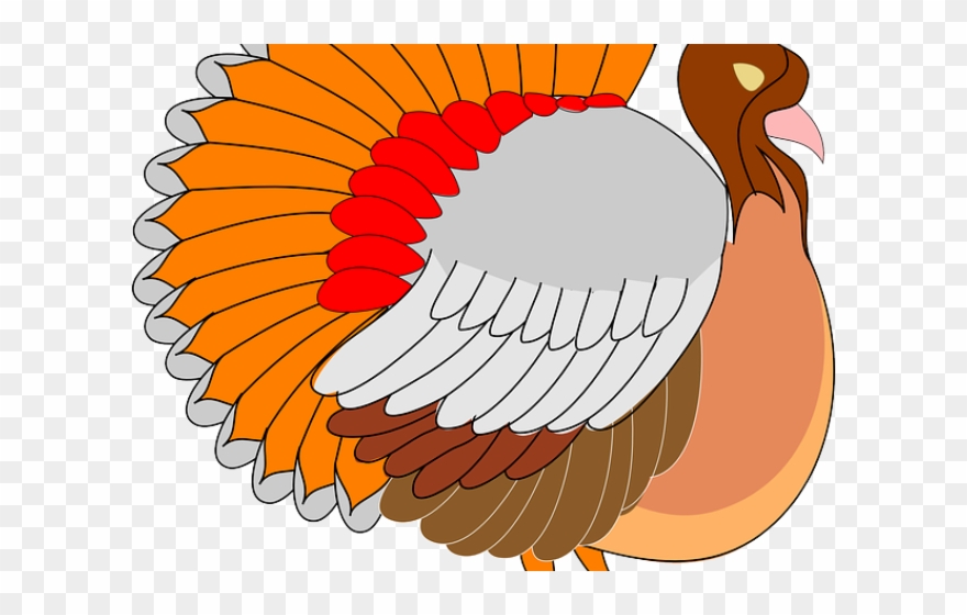 Turkey Bird Clipart Cornucopia - Turkey Clipart Png Transparent Png