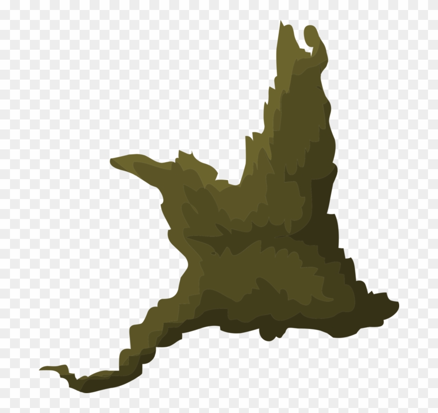 Tree Computer Icons Plants Description Drawing - Icon Clipart