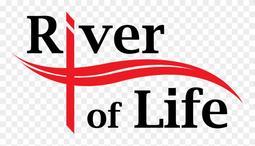 Heaven Clipart River Life - Wbset 2017 Answer Key - Png Download