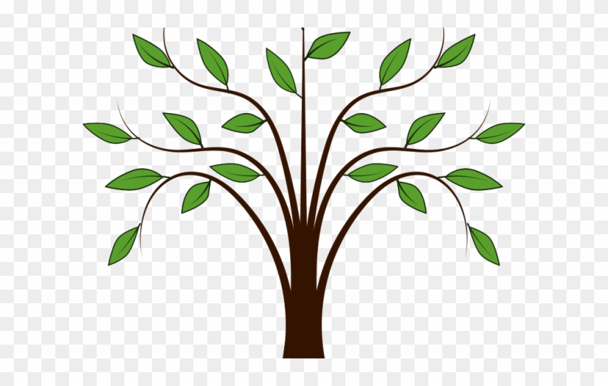 Heaven Clipart Mustard Tree - Simple Tree Clip Art - Png Download